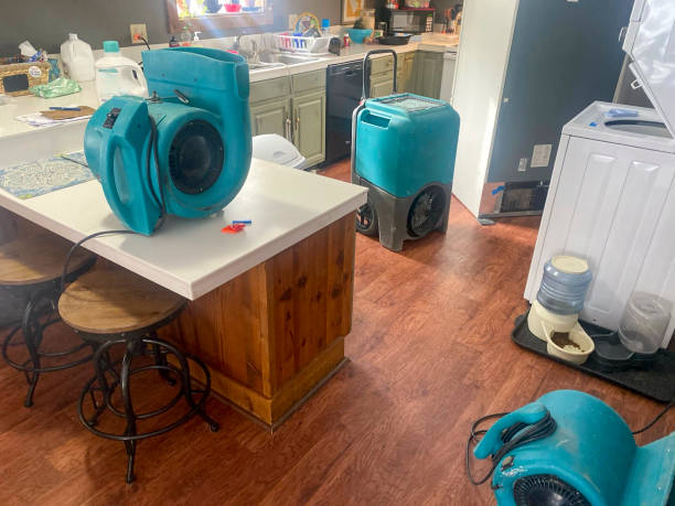 Best Local water damage restoration  in Terrell Hills, TX