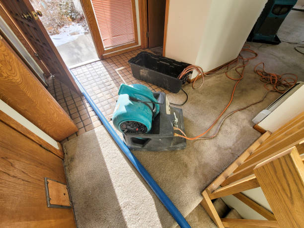 Best Water damage repair service  in Terrell Hills, TX
