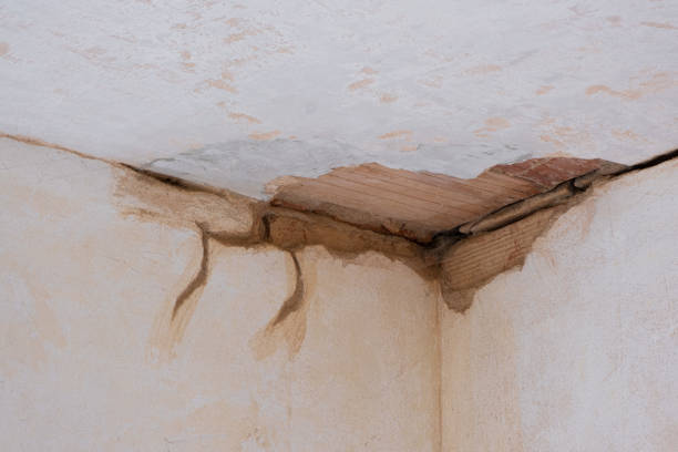 Water damage restoration insurance claims in Terrell Hills, TX