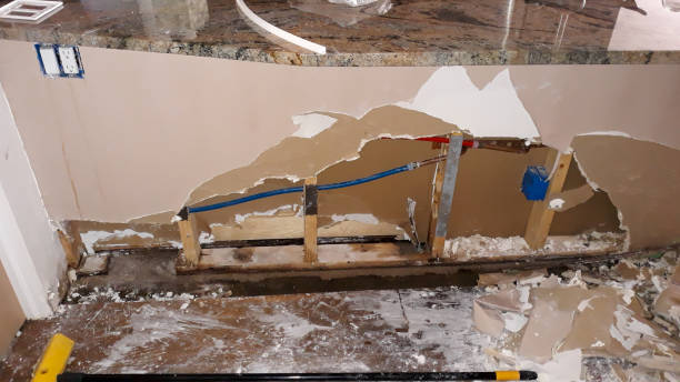 Best Water damage restoration company  in Terrell Hills, TX