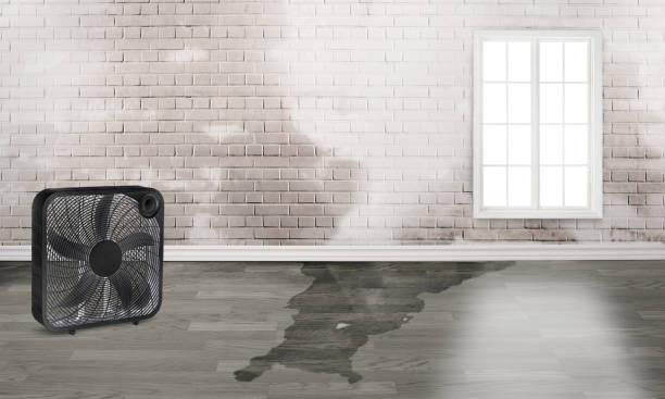  Terrell Hills, TX Water damage restoration Pros