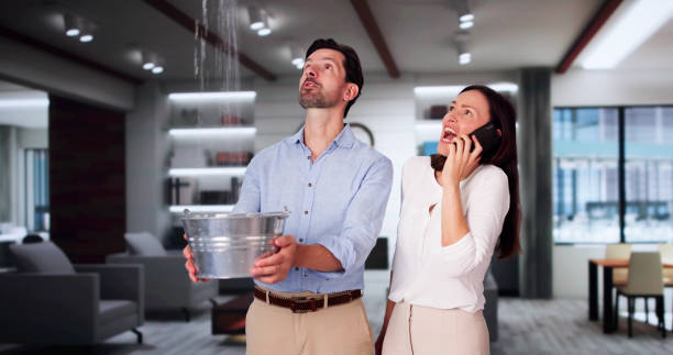 Best Carpet water damage restoration  in Terrell Hills, TX