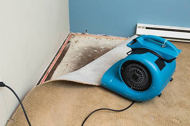 Best Flood restoration services  in Terrell Hills, TX